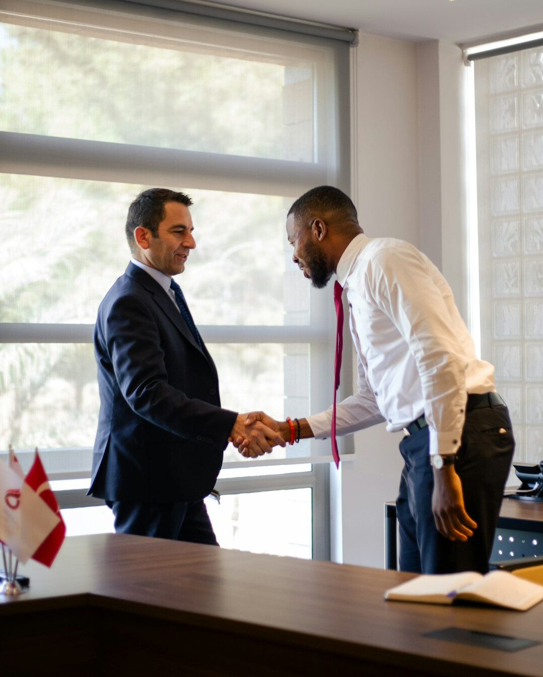 professional business handshake